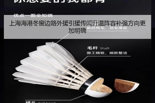 上海海港冬窗边路外援引援传闻升温阵容补强方向更加明确 - JZSports